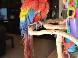 Meet George... she hates me =(