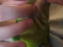 All about the scratchies!