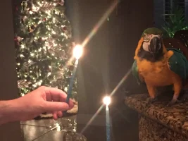 December 2024 POTM Contest!