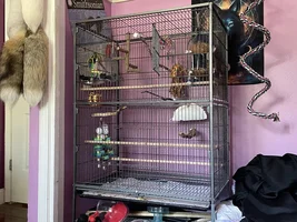 Fresh new cage setup!
