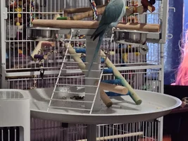 Play time