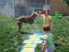 Pitbulls? Love 'em, hate 'em. Discuss.
