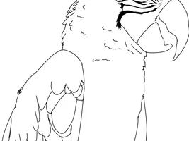 Zoru’s art thread! :)