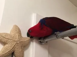 Time Out!!