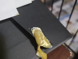 Need help with my bird's poop!