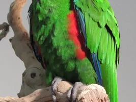 Post Shower POOF!