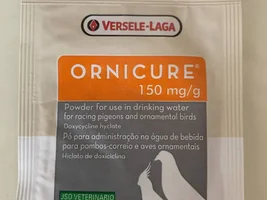 Pleae help! My 23 years old Indian Ringneck Parakeet is extremely sick