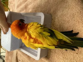 Checking out the new bath