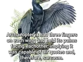 The best Bird meme!!