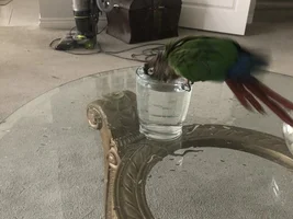 Bath time!!!!
