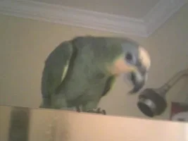 Shower Time