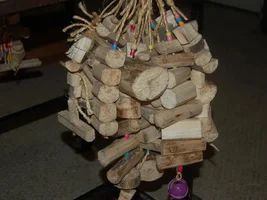 DIY chew toys ; yukka