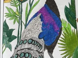 Check out some of what I have drawn, painted, and some coloring pages I have filled in!