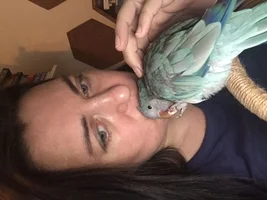 Do birds trim/groom their nails?