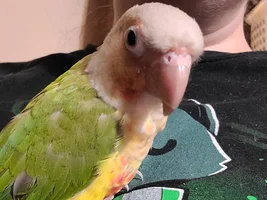 Question on Bedtime and Hand Feeding
