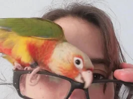 April 2020 POTM Contest!!!