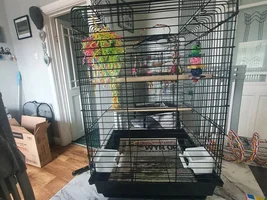 New sleeping cage