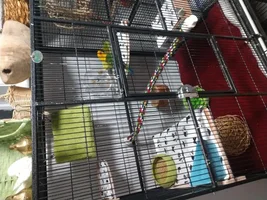 Good bedding material?
