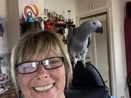 Large Parrot Photo Thread