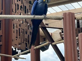 Bird pics from the zoo