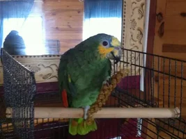my beautiful boy!!
