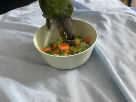 Roman eating his veggies!