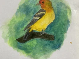 More drawings
