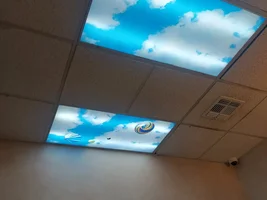 Best bird for doctor's office