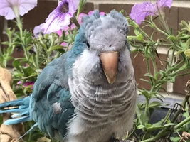 September POTM Contest!