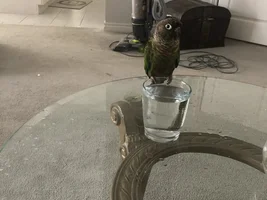 Bath time!!!!