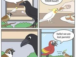 The best Bird meme!!