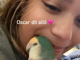 self mutilating// help my bird Oscar