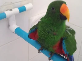 Woohoo.. we have harness success!