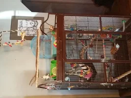Simple is better :) new play top decor...