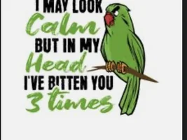 The best Bird meme!!