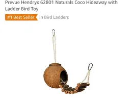 Coconut hut concerns