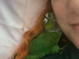 Introducing Yuri! Ona’s New Sister!