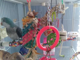 We want to see your homemade toys!