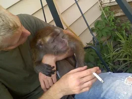 My Jacob Monkey