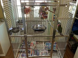 Considering a stainless steel cage