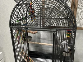 New owner of a beautiful IRP have a question