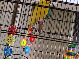 Otto's home!!!