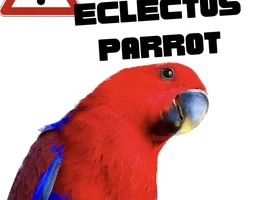 Parrot warning sign!