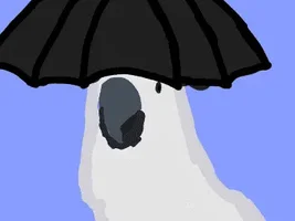 Parrot names taken literally