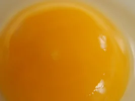 Fertile eggs?