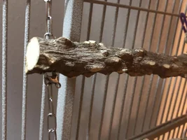 TELL ME…. Am I using SAFE materials products hooks and toys for my quaker?