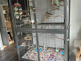 Switching Cages