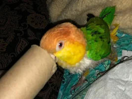 Hi everyone!