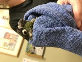 Amazing experience! Update for Butter!