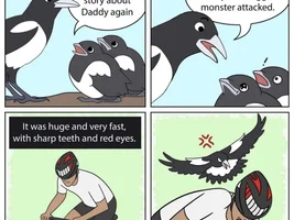 The best Bird meme!!